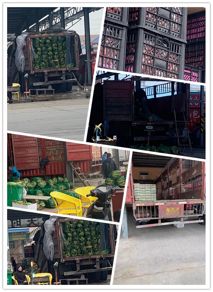 首页| 402cc永利集团中国区官方网站