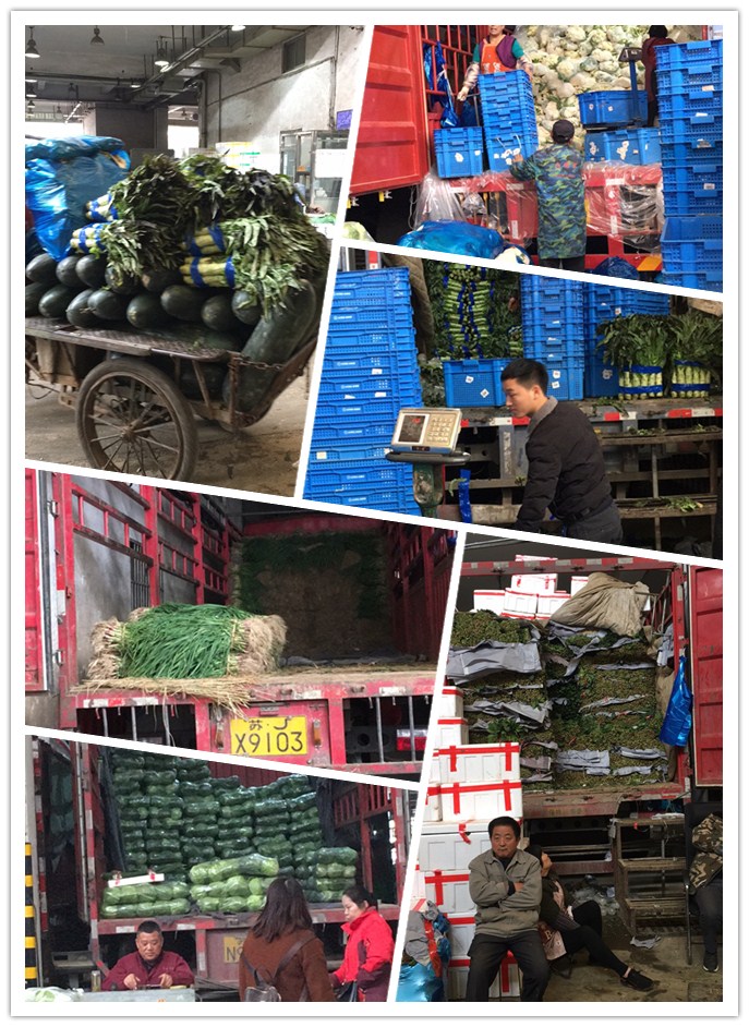 首页| 402cc永利集团中国区官方网站