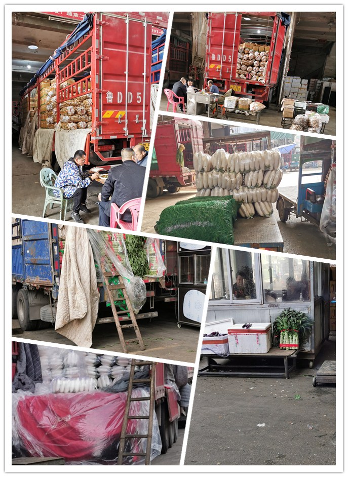 首页| 402cc永利集团中国区官方网站