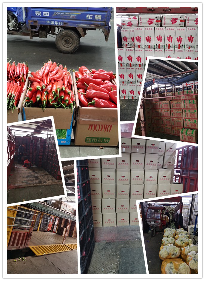 首页| 402cc永利集团中国区官方网站