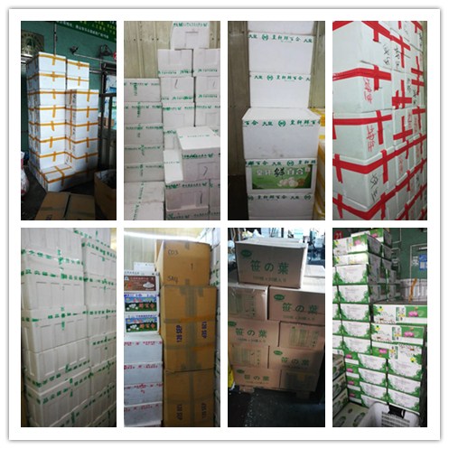 首页| 402cc永利集团中国区官方网站