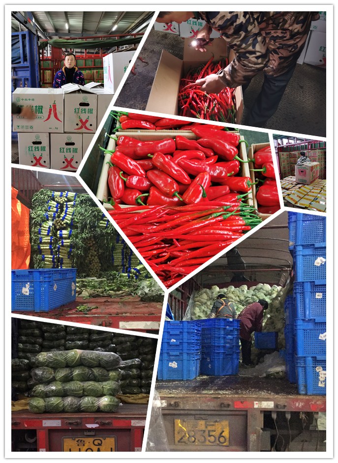 首页| 402cc永利集团中国区官方网站