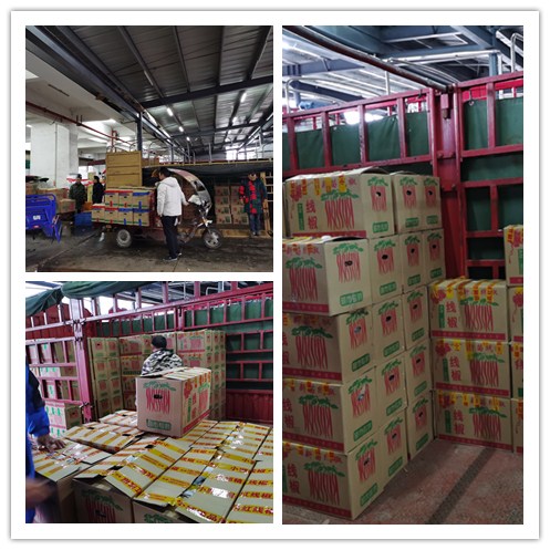 首页| 402cc永利集团中国区官方网站