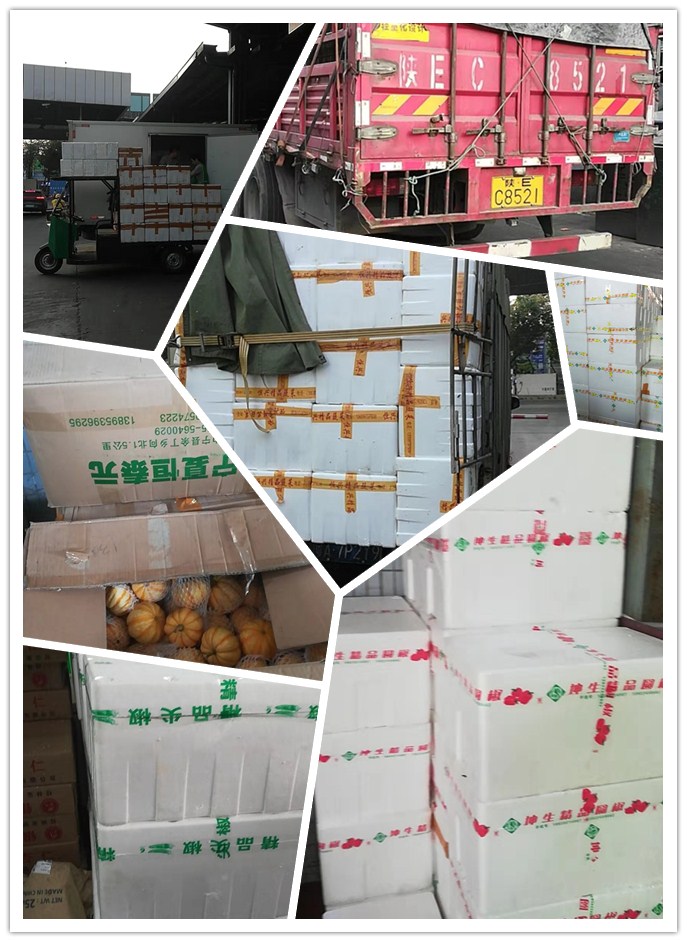 首页| 402cc永利集团中国区官方网站