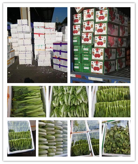 首页| 402cc永利集团中国区官方网站