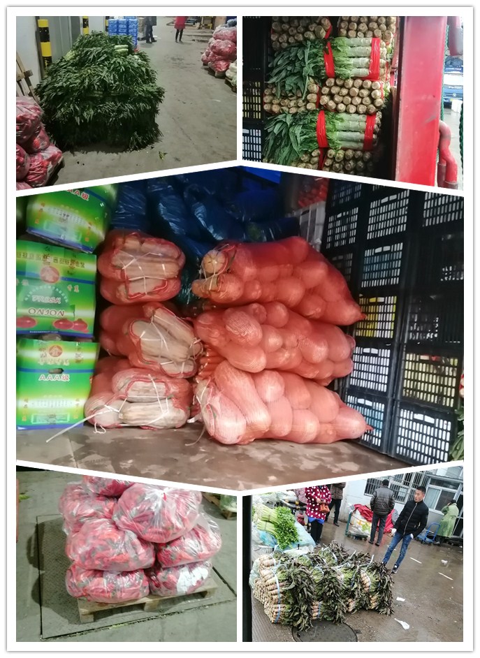 首页| 402cc永利集团中国区官方网站