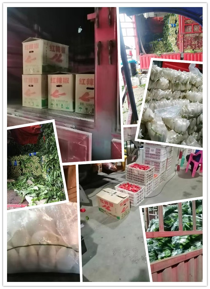 首页| 402cc永利集团中国区官方网站