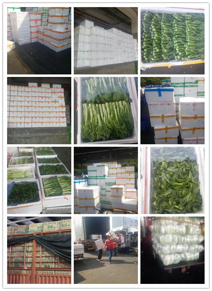 首页| 402cc永利集团中国区官方网站