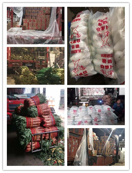 首页| 402cc永利集团中国区官方网站