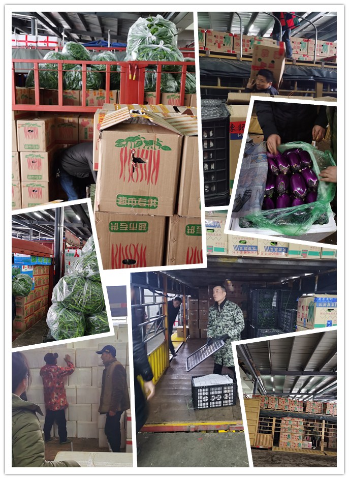 首页| 402cc永利集团中国区官方网站