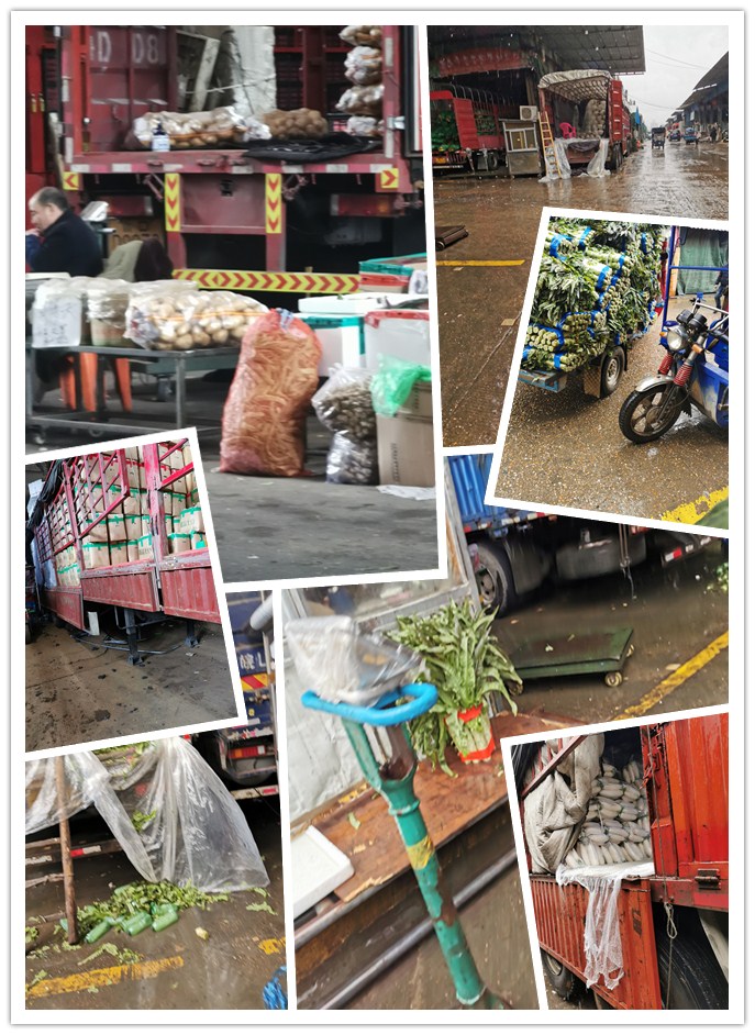 首页| 402cc永利集团中国区官方网站