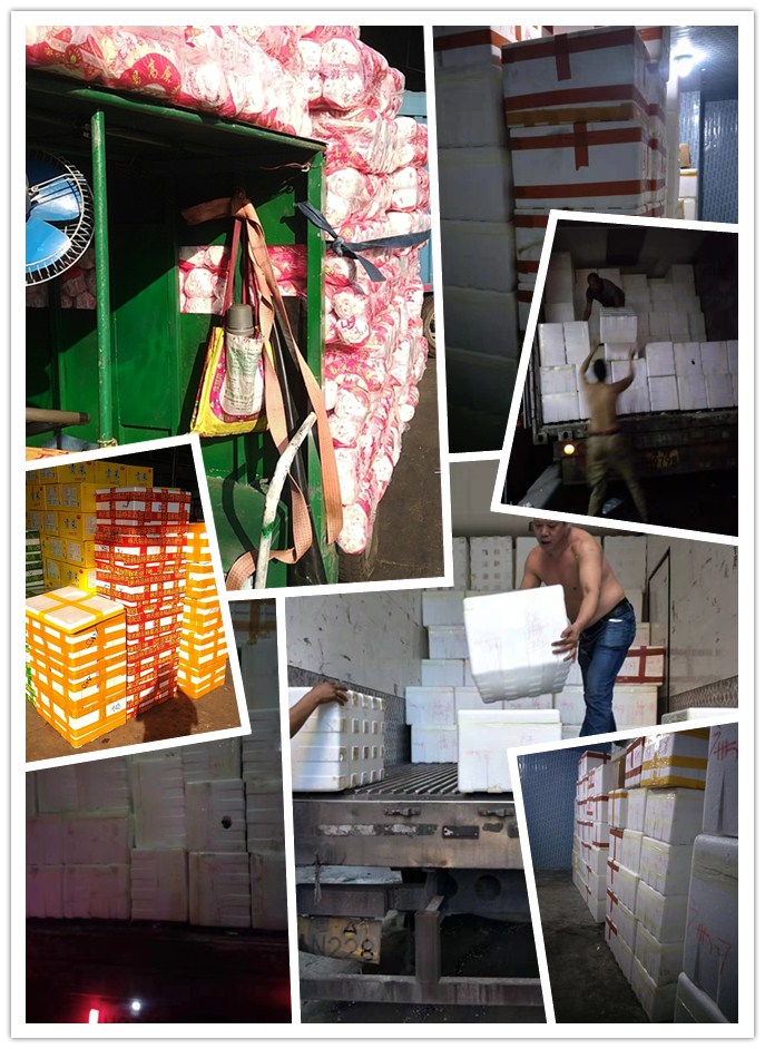 首页| 402cc永利集团中国区官方网站