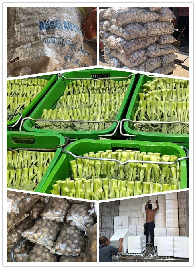 首页| 402cc永利集团中国区官方网站