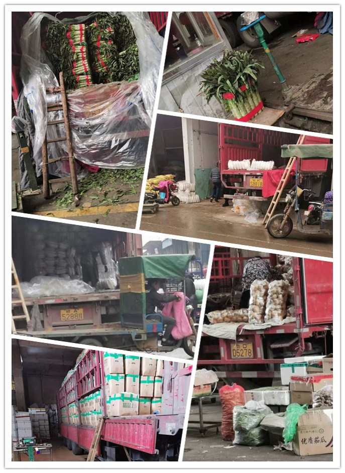 首页| 402cc永利集团中国区官方网站