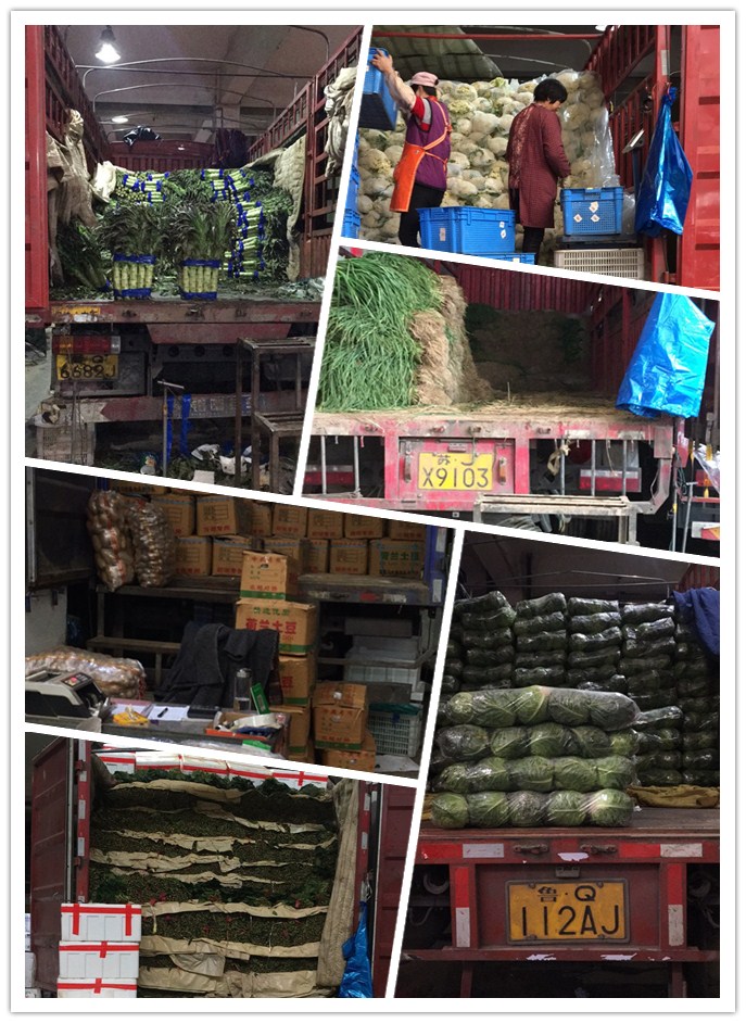 首页| 402cc永利集团中国区官方网站