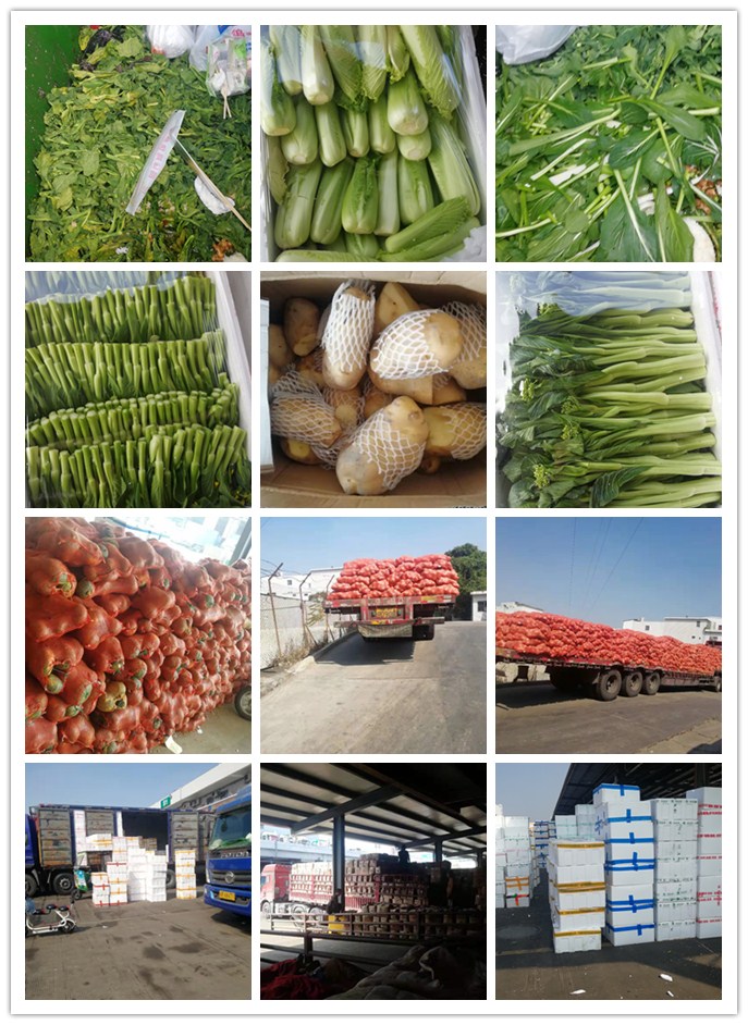 首页| 402cc永利集团中国区官方网站