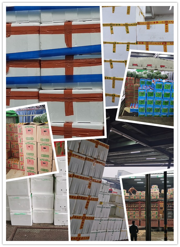 首页| 402cc永利集团中国区官方网站