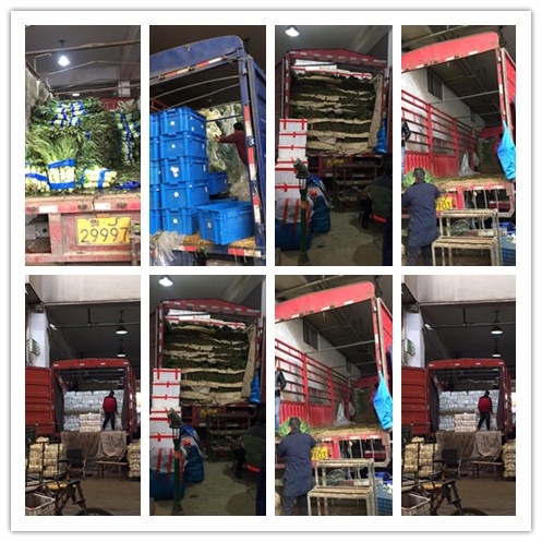 首页| 402cc永利集团中国区官方网站