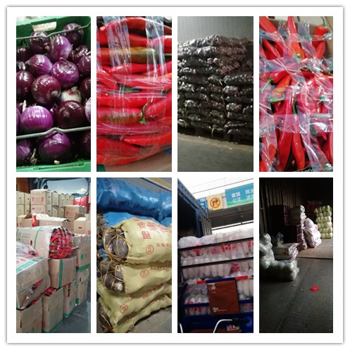 首页| 402cc永利集团中国区官方网站