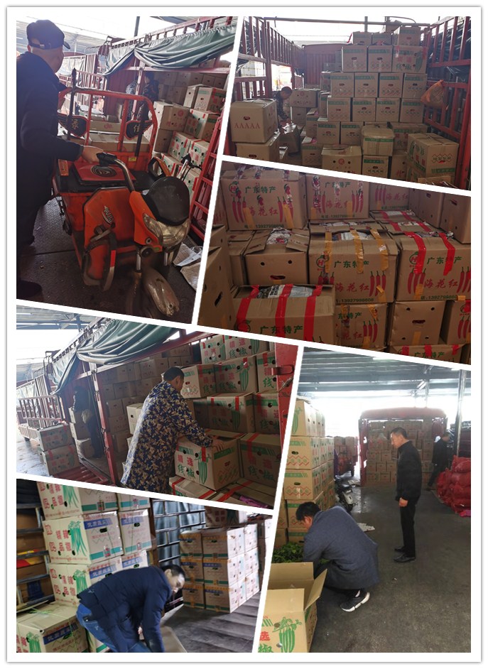 首页| 402cc永利集团中国区官方网站