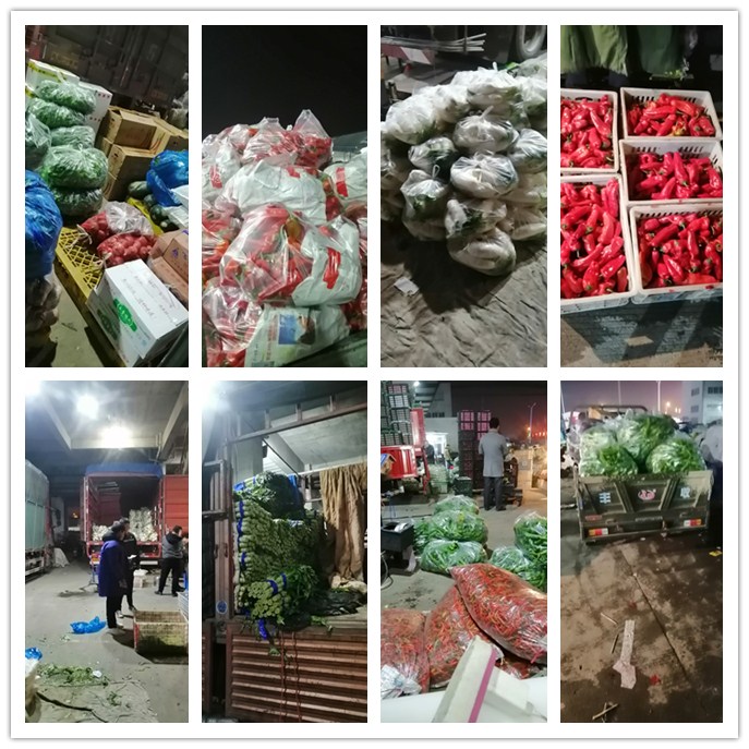 首页| 402cc永利集团中国区官方网站