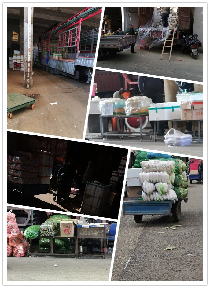 首页| 402cc永利集团中国区官方网站