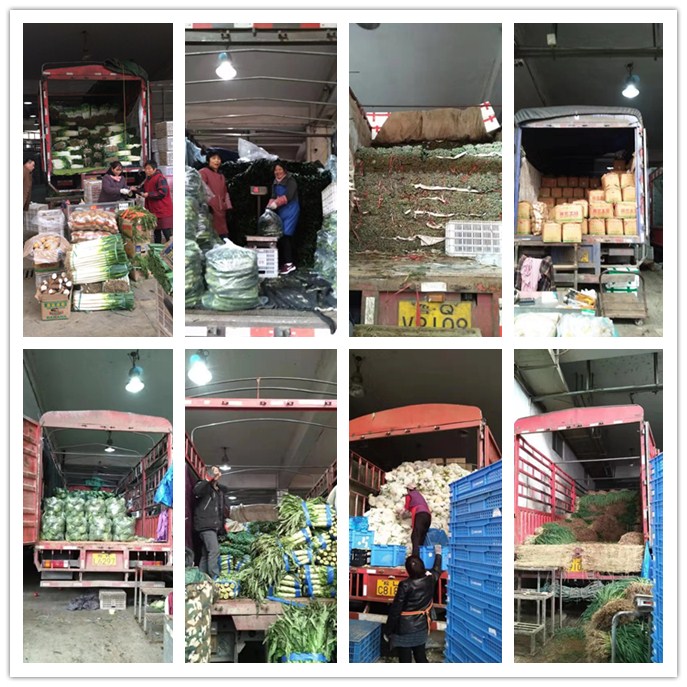 首页| 402cc永利集团中国区官方网站