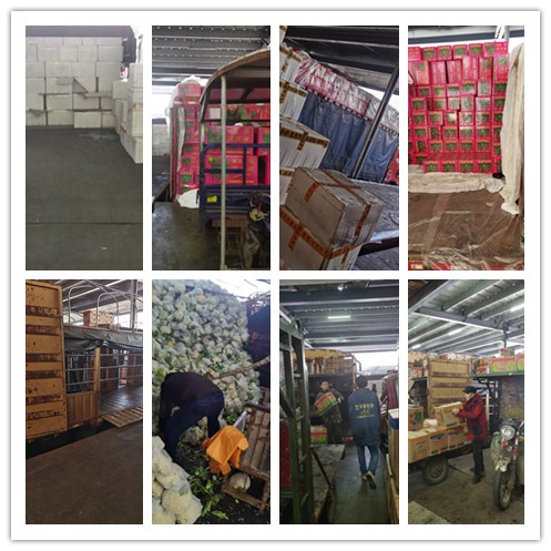 首页| 402cc永利集团中国区官方网站