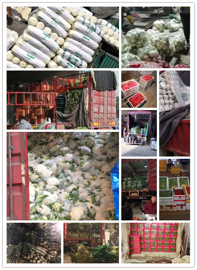 首页| 402cc永利集团中国区官方网站