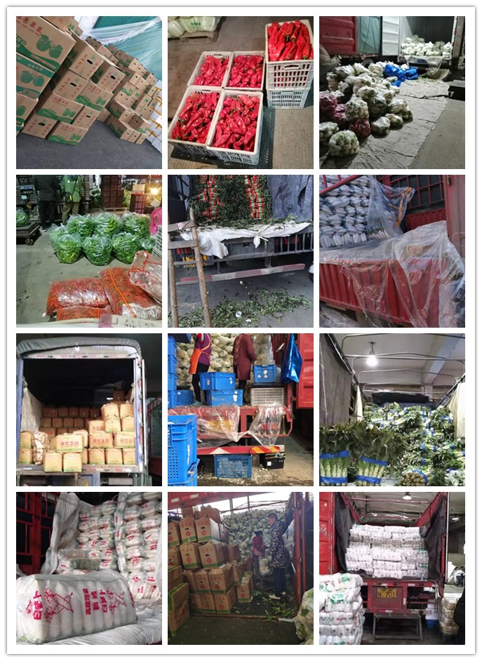 首页| 402cc永利集团中国区官方网站