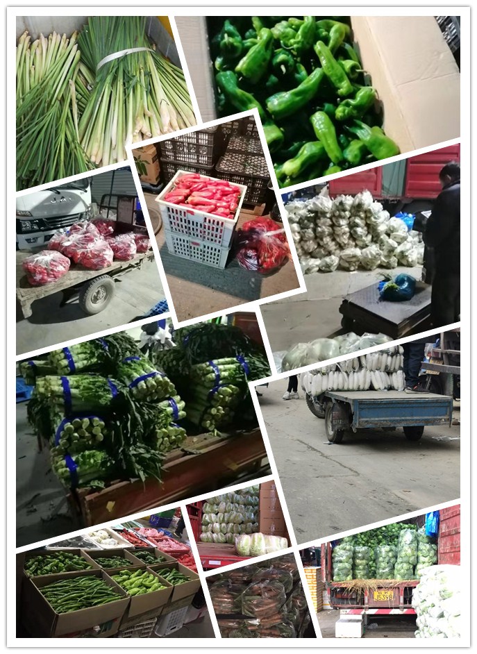 首页| 402cc永利集团中国区官方网站