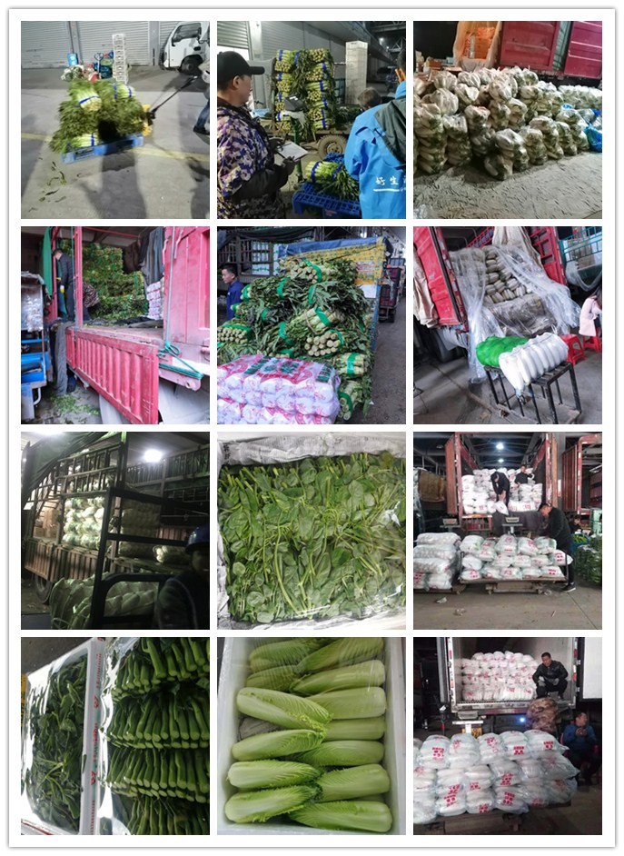 首页| 402cc永利集团中国区官方网站