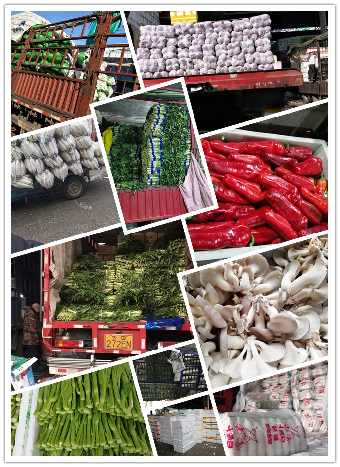 首页| 402cc永利集团中国区官方网站