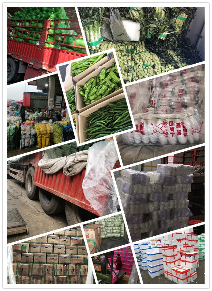 首页| 402cc永利集团中国区官方网站