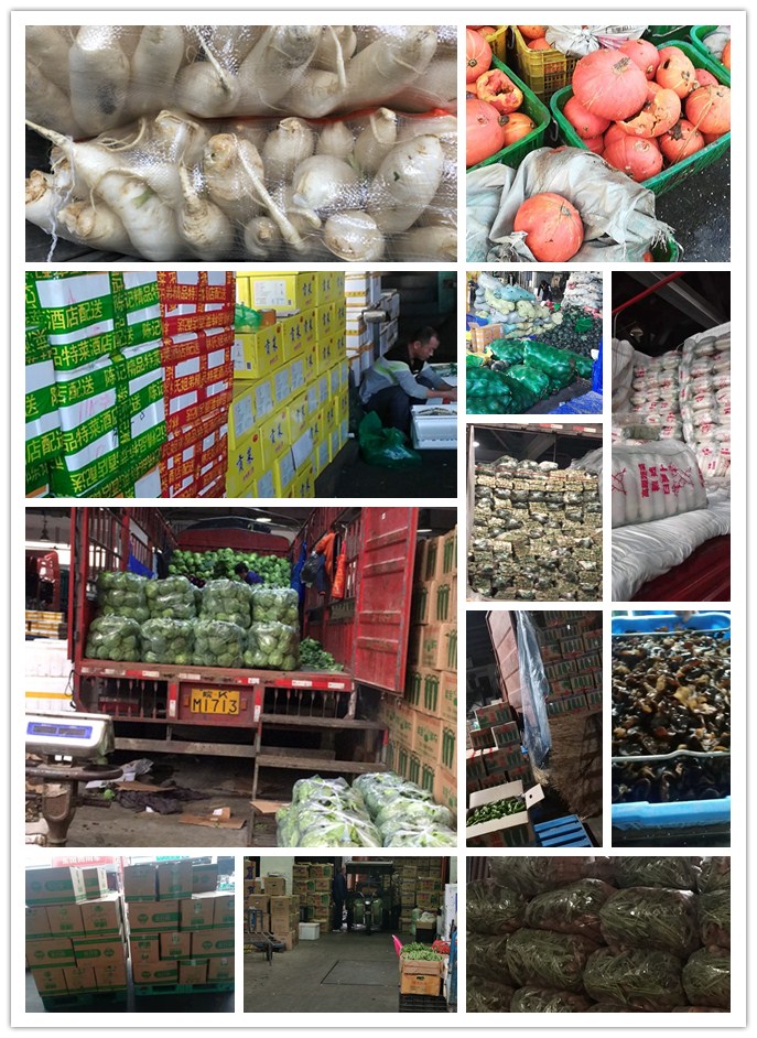 首页| 402cc永利集团中国区官方网站