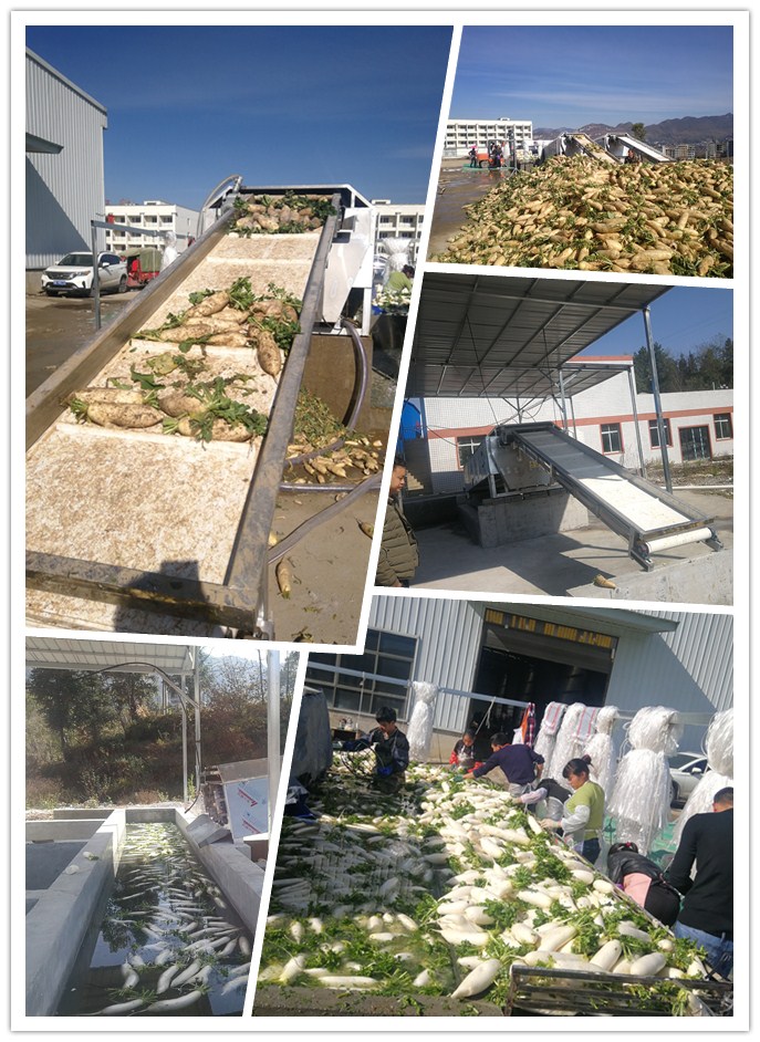 首页| 402cc永利集团中国区官方网站