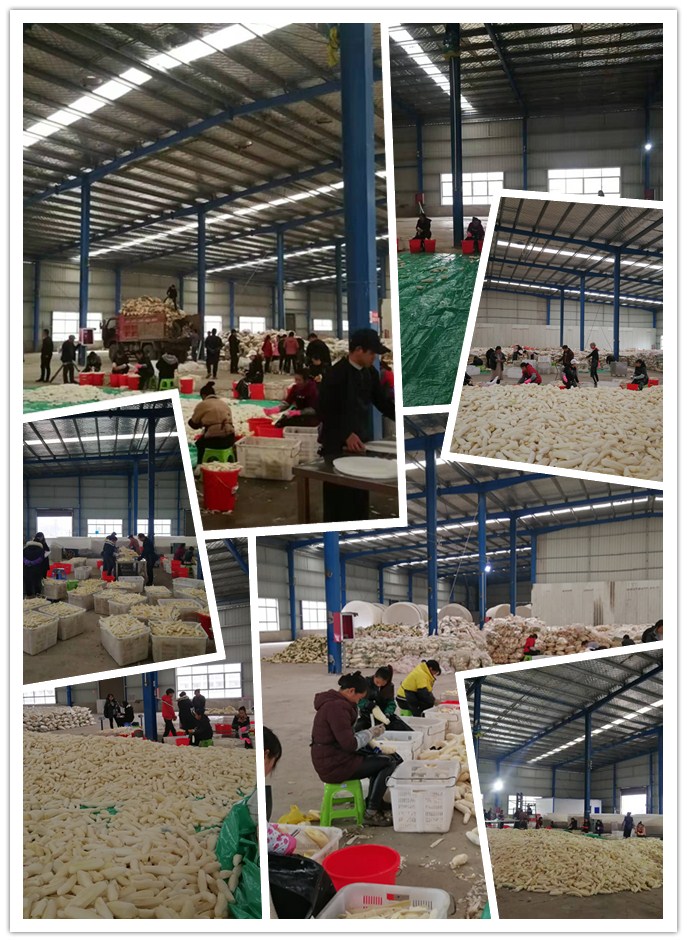 首页| 402cc永利集团中国区官方网站