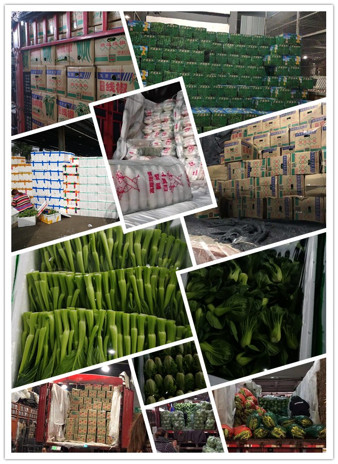 首页| 402cc永利集团中国区官方网站