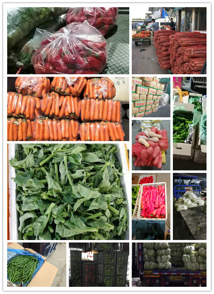 首页| 402cc永利集团中国区官方网站