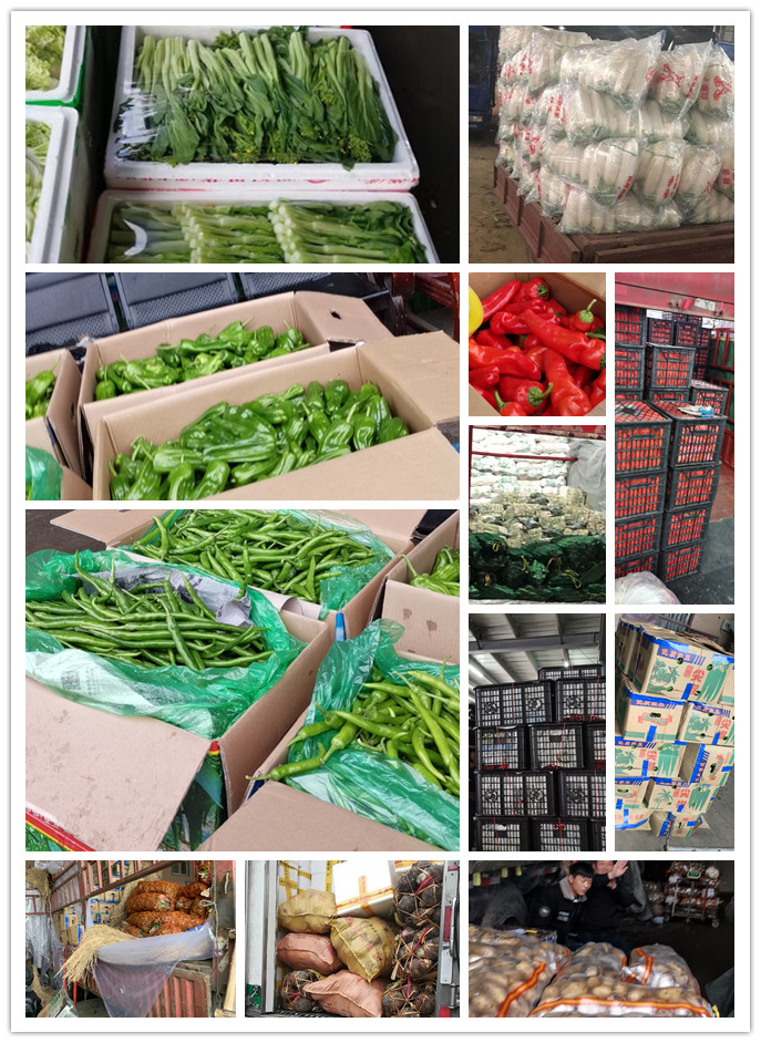 首页| 402cc永利集团中国区官方网站