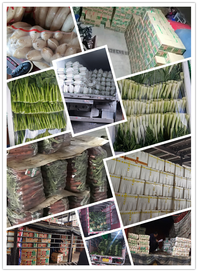 首页| 402cc永利集团中国区官方网站