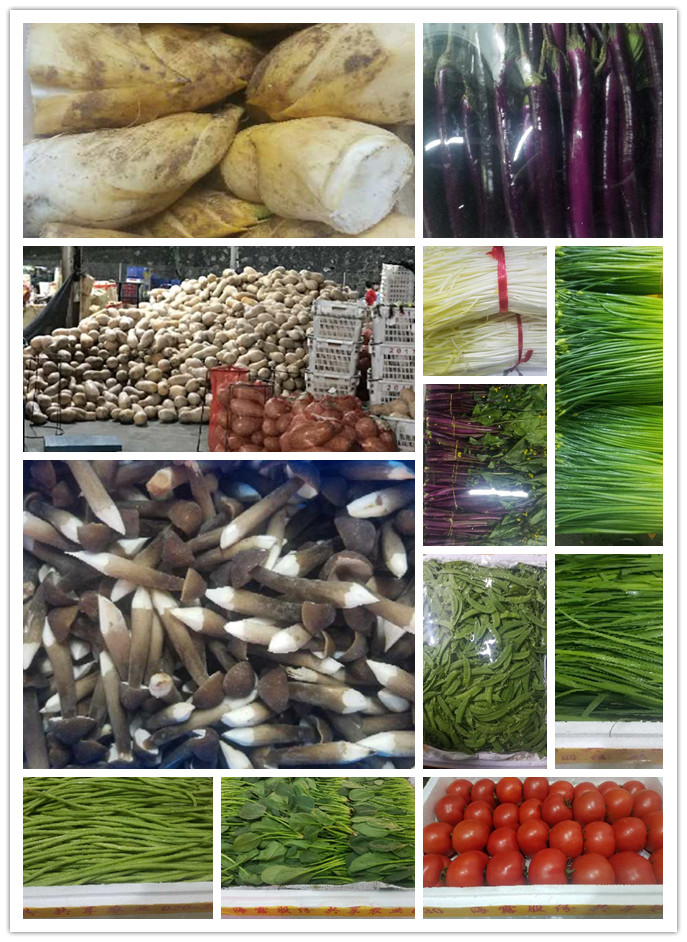 首页| 402cc永利集团中国区官方网站