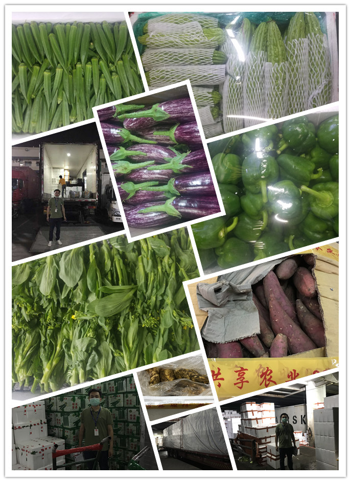 首页| 402cc永利集团中国区官方网站