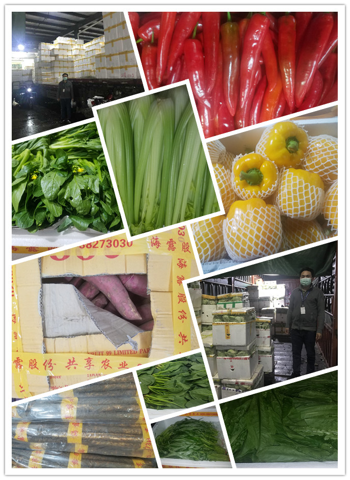 首页| 402cc永利集团中国区官方网站