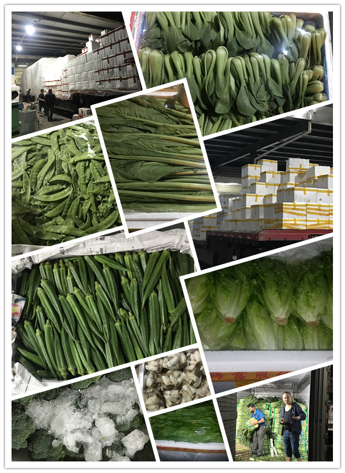 首页| 402cc永利集团中国区官方网站