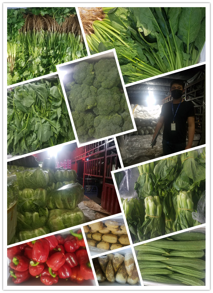 首页| 402cc永利集团中国区官方网站