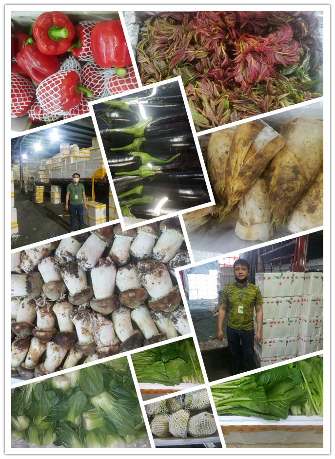 首页| 402cc永利集团中国区官方网站