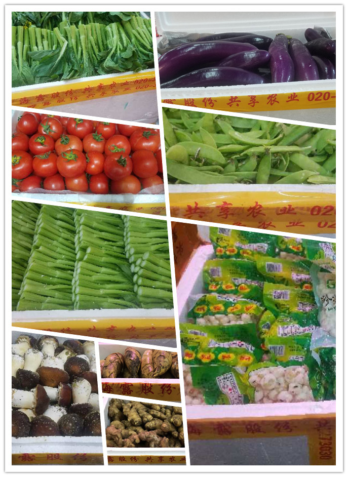 首页| 402cc永利集团中国区官方网站