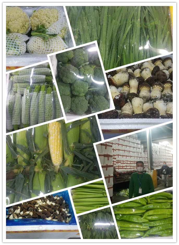 首页| 402cc永利集团中国区官方网站