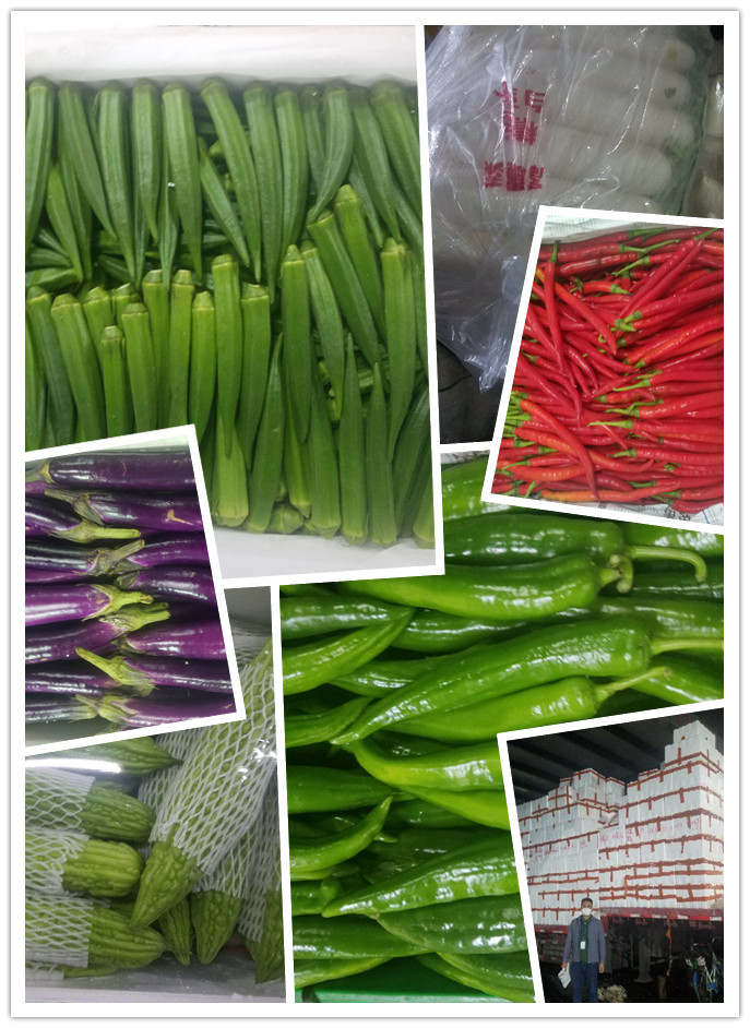 首页| 402cc永利集团中国区官方网站